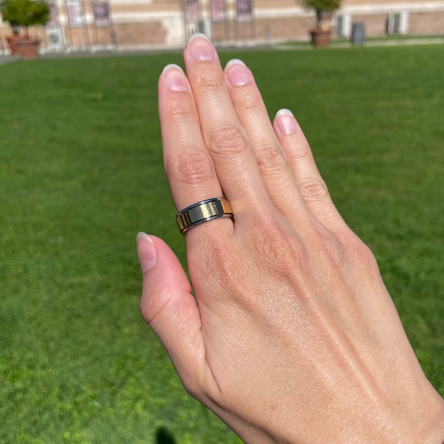 Balance Fidget Ring