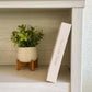 The Little Things Jewelry Box